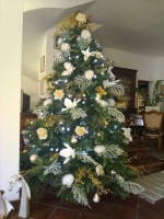 Albero di natale.jpg