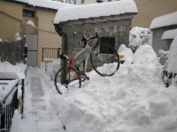 il cavallo di Coniglio ad Abbadia!!.jpg